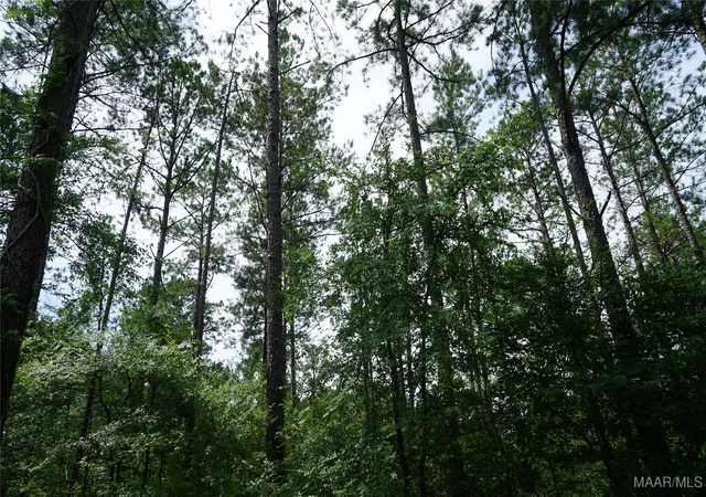 4th image of 640 Barnes Rd, Pike Road, AL 36064 | MLS# 577443