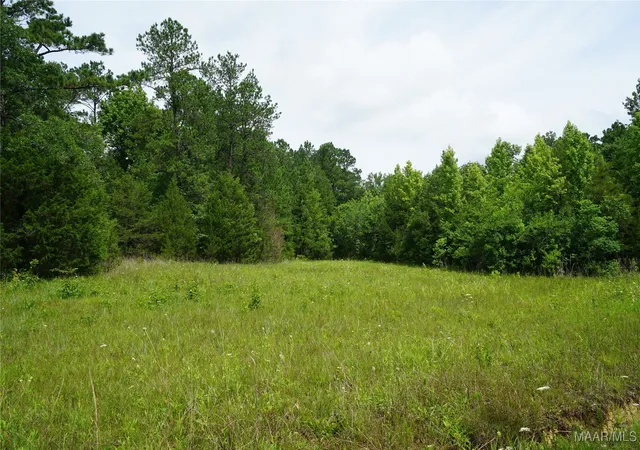 5th image of 640 Barnes Rd, Pike Road, AL 36064 | MLS# 577443