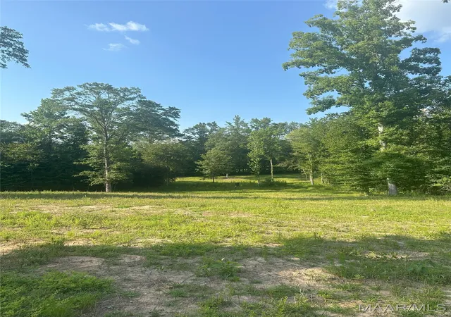 Homes for sale in Alexander City, AL | 58 Cross Creek Rd, Alexander City, AL 35010 | MLS# 577775