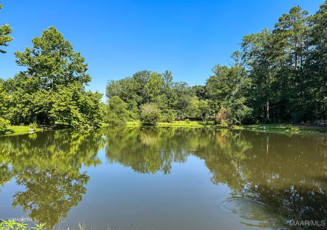 5th image of 8630 Tallahatta Springs Rd, Thomasville, AL 36784 | MLS# 577910