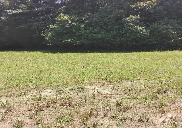 2nd image of 124 Crown Ridge Dr, Selma, AL 36701 | MLS# 578181