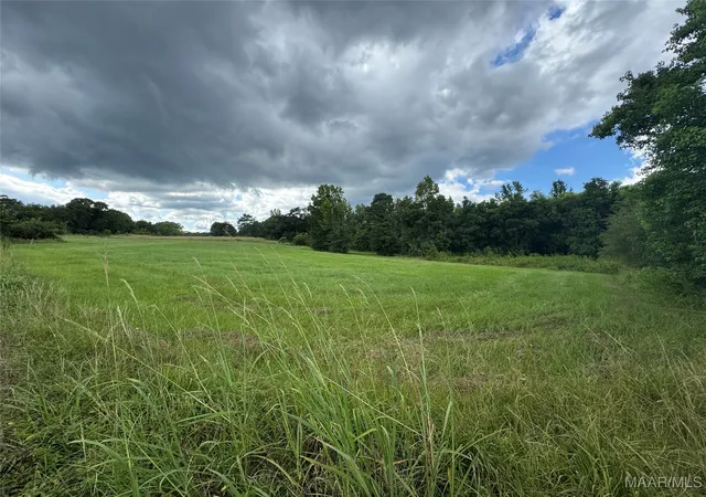 2nd image of Parcel 2 Whitetail Rdg, Elmore, AL 36025 | MLS# 578316