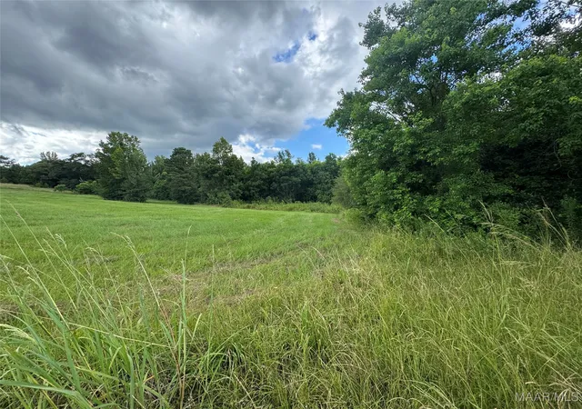 3rd image of Parcel 2 Whitetail Rdg, Elmore, AL 36025 | MLS# 578316