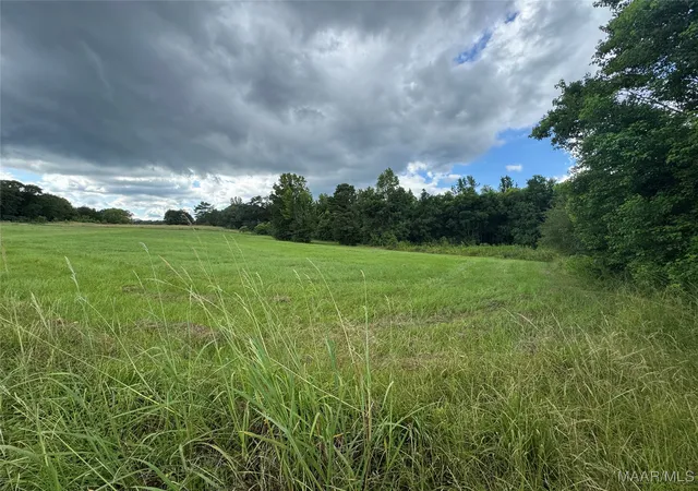 4th image of Parcel 2 Whitetail Rdg, Elmore, AL 36025 | MLS# 578316