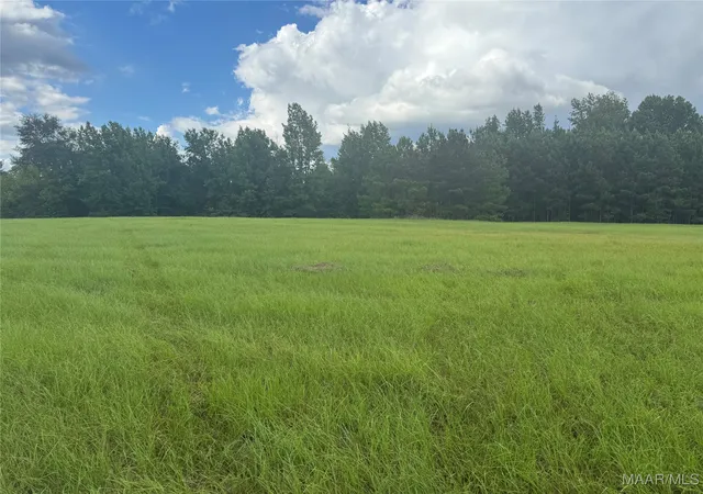 5th image of Parcel 2 Whitetail Rdg, Elmore, AL 36025 | MLS# 578316