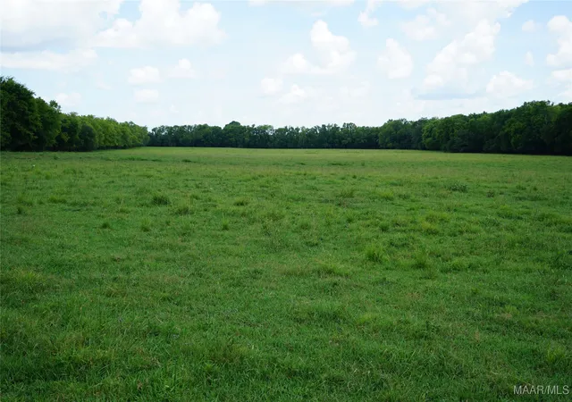 2nd image of 1105 Rittenour Rd, Pike Road, AL 36064 | MLS# 578496