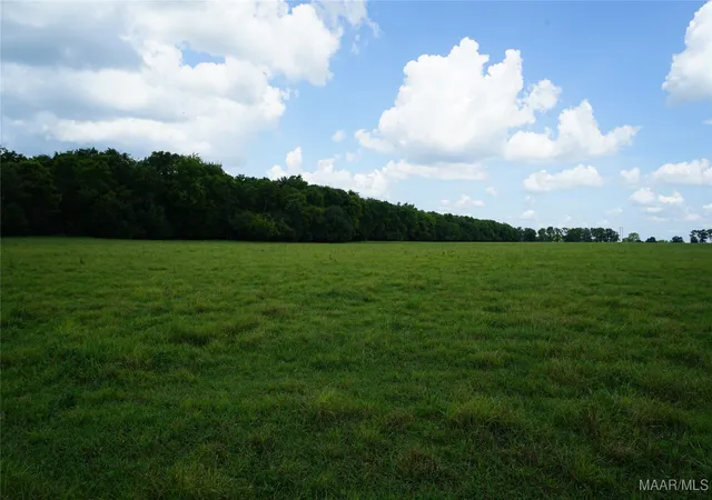 4th image of 1105 Rittenour Rd, Pike Road, AL 36064 | MLS# 578496