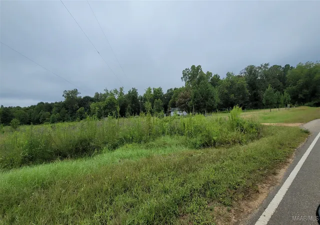 Photo 3 of Single family home for sale at 17245 County Rd 37 Hwy S, Letohatchee, AL 36047 | MLS# 578823 | Listing updated on 2026-08-05