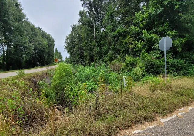 Photo 4 of Single family home for sale at 17245 County Rd 37 Hwy S, Letohatchee, AL 36047 | MLS# 578823 | Listing updated on 2026-08-05