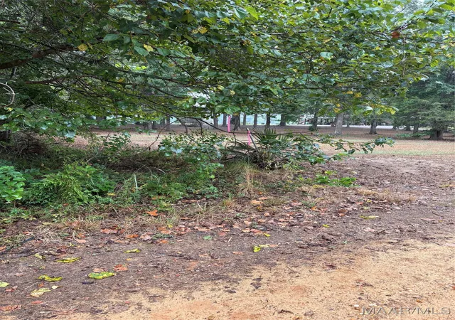 2nd image of 00 County Road 157 Road, Selma, AL 36701 | MLS# 579268