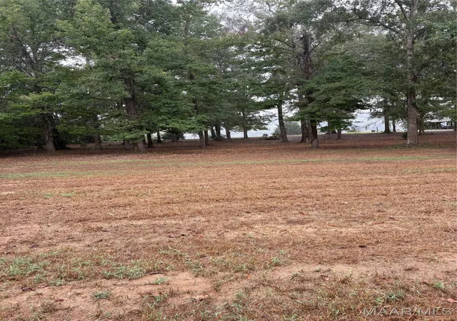 4th image of 00 County Road 157 Road, Selma, AL 36701 | MLS# 579268