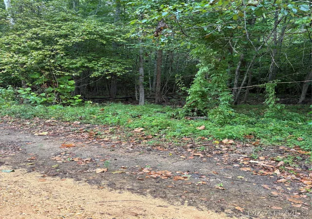 5th image of 00 County Road 157 Road, Selma, AL 36701 | MLS# 579268