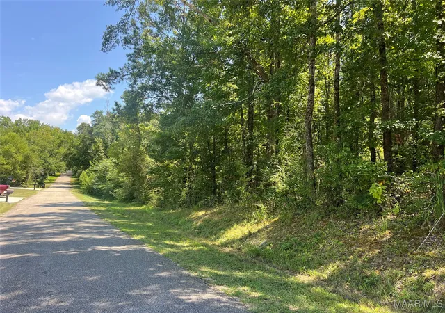 1st image of 0 Hwy 31 Hwy, Clanton, AL 35045 | MLS# 579358