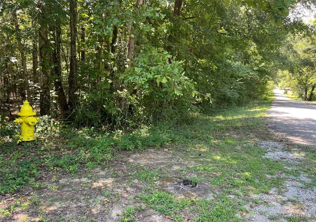2nd image of 0 Hwy 31 Hwy, Clanton, AL 35045 | MLS# 579358