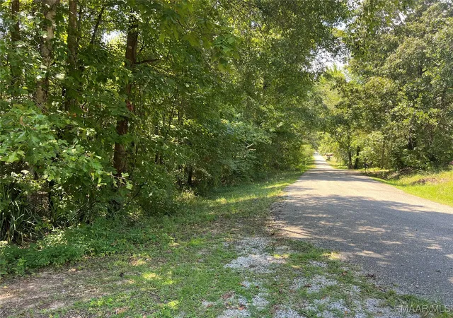 4th image of 0 Hwy 31 Hwy, Clanton, AL 35045 | MLS# 579358
