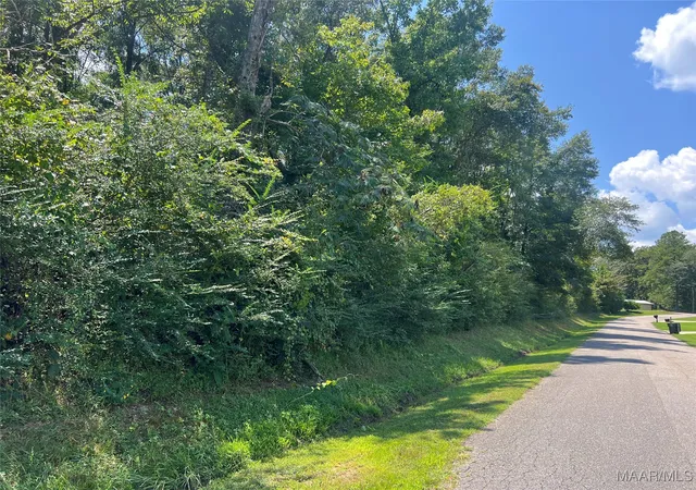 5th image of 0 Hwy 31 Hwy, Clanton, AL 35045 | MLS# 579358