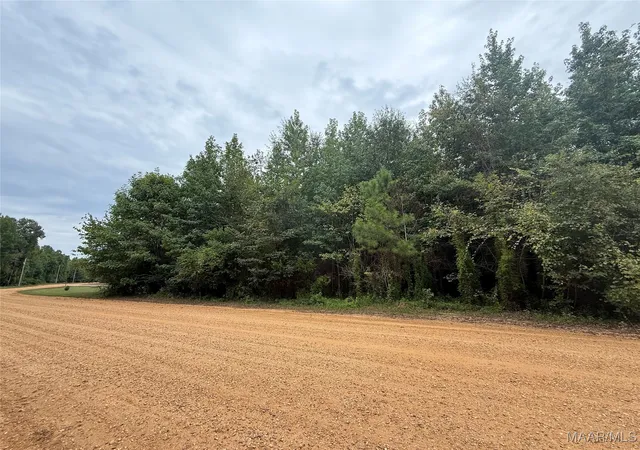 1st image of 0 Twin Rivers Dr, Orrville, AL 36767 | MLS# 579474