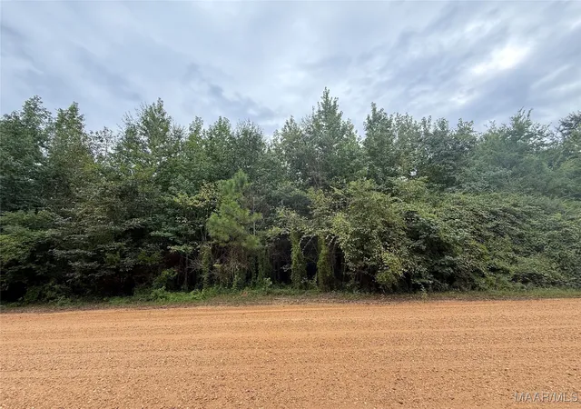 3rd image of 0 Twin Rivers Dr, Orrville, AL 36767 | MLS# 579474