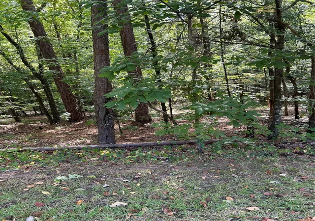 1st image of Lot 102 Beach Island Tr, Dadeville, AL 36853 | MLS# 579646