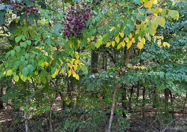 2nd image of Lot 102 Beach Island Tr, Dadeville, AL 36853 | MLS# 579646