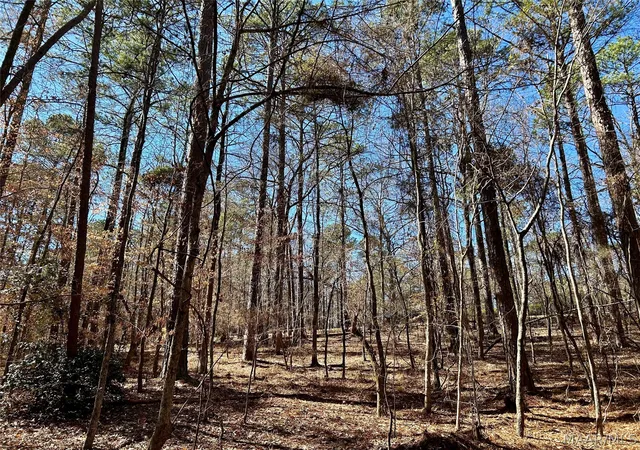 7th image of Lot 102 Beach Island Tr, Dadeville, AL 36853 | MLS# 579646