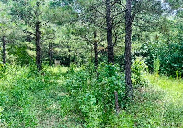 Photo 1 of Land for sale at 0 Knight Dr, Wetumpka, AL 36092 | MLS# 579623 | Listing updated on 2026-05-28