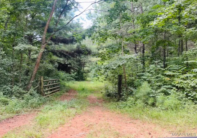 Photo 3 of Land for sale at 0 Knight Dr, Wetumpka, AL 36092 | MLS# 579623 | Listing updated on 2026-05-28