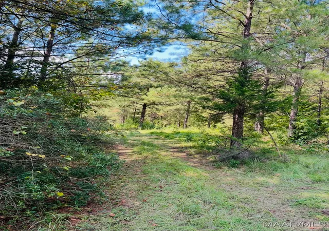 Photo 3 of Land for sale at 0 Knight Dr, Wetumpka, AL 36092 | MLS# 579623 | Listing updated on 2026-05-28