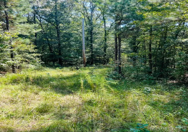 Photo 4 of Land for sale at 0 Knight Dr, Wetumpka, AL 36092 | MLS# 579623 | Listing updated on 2026-05-28