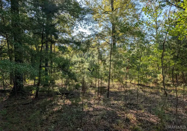 Homes for sale in Cecil, AL | Lot 11 Greyrock Ln, Cecil, AL 36013 | MLS# 579692