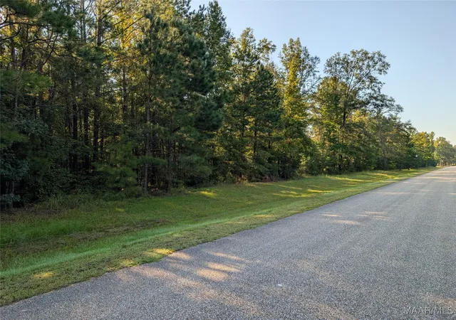 3rd image of Lot 11 Greyrock Ln, Cecil, AL 36013 | MLS# 579692
