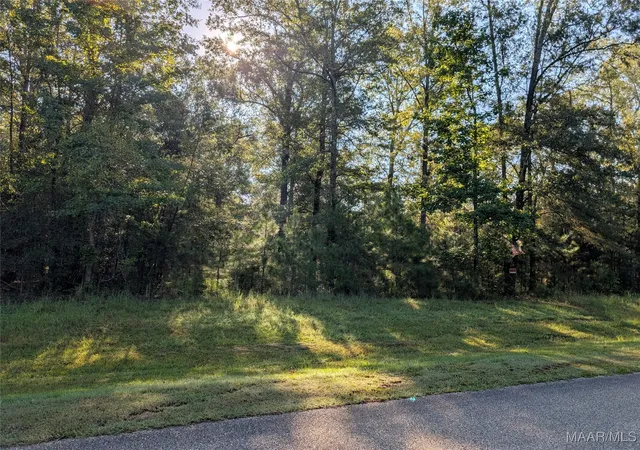 4th image of Lot 11 Greyrock Ln, Cecil, AL 36013 | MLS# 579692