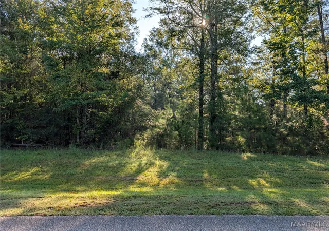 5th image of Lot 11 Greyrock Ln, Cecil, AL 36013 | MLS# 579692