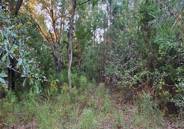 4th image of 23725 Woodley Rd, Ramer, AL 36069 | MLS# 580005