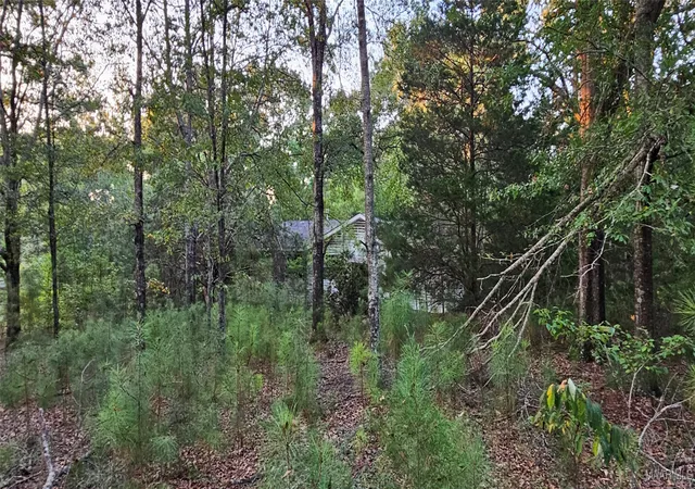 5th image of 23725 Woodley Rd, Ramer, AL 36069 | MLS# 580005