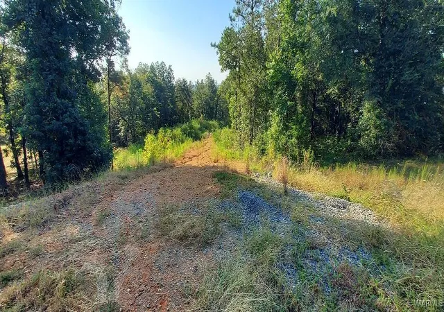 2nd image of Lot 10 Jug Factory Rd, Wetumpka, AL 36093 | MLS# 580193