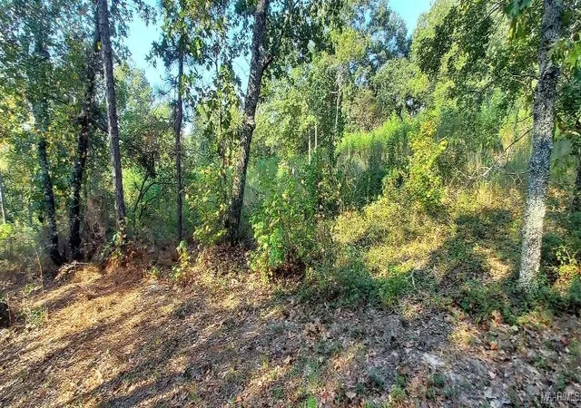 Photo 3 of Land for sale at Lot 10 & Lot 9 Jug Factory Rd, Wetumpka, AL 36093 | MLS# 580193 | Listing updated on 2026-09-01