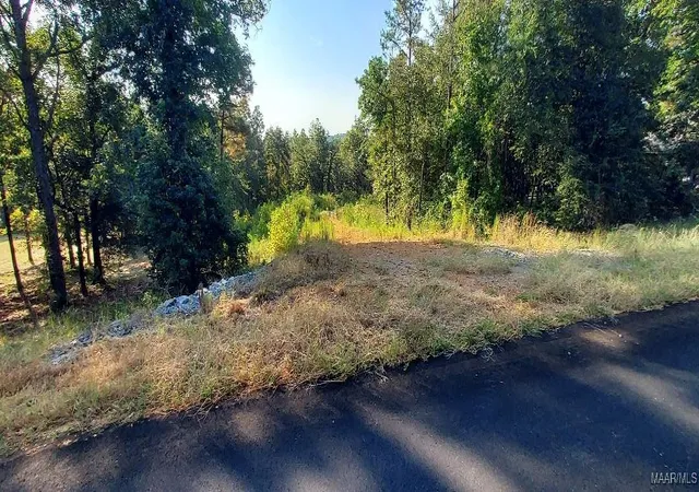 Photo 3 of Land for sale at Lot 10 & Lot 9 Jug Factory Rd, Wetumpka, AL 36093 | MLS# 580193 | Listing updated on 2026-09-01