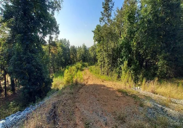 Photo 4 of Land for sale at Lot 10 & Lot 9 Jug Factory Rd, Wetumpka, AL 36093 | MLS# 580193 | Listing updated on 2026-09-01
