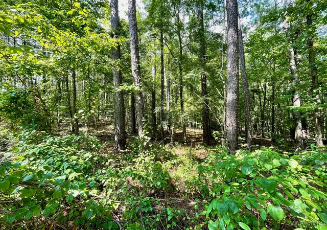 2nd image of Lot 23 Cotton Ln, Alexander City, AL 35010 | MLS# 580634