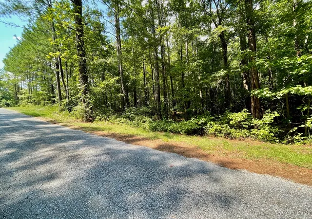 3rd image of Lot 23 Cotton Ln, Alexander City, AL 35010 | MLS# 580634