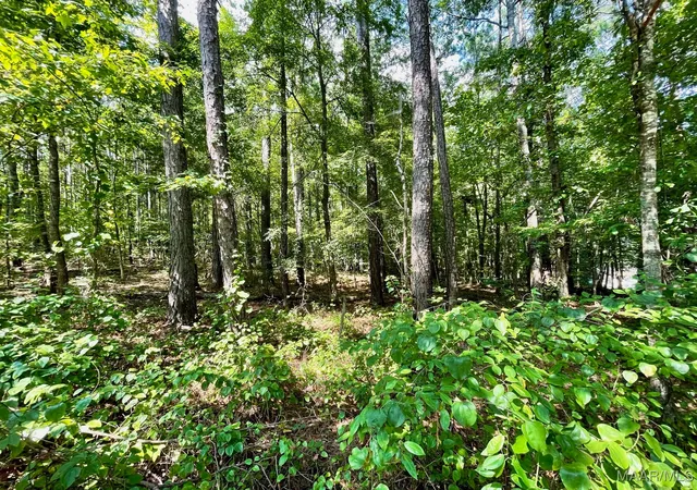 4th image of Lot 23 Cotton Ln, Alexander City, AL 35010 | MLS# 580634