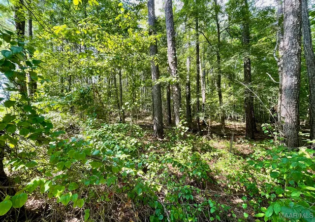 5th image of Lot 23 Cotton Ln, Alexander City, AL 35010 | MLS# 580634
