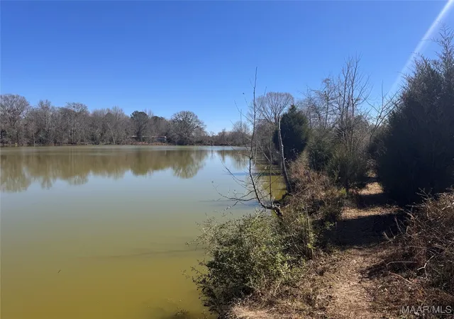 33rd image of 480 County Road 74, Selma, AL 36703 | MLS# 580879