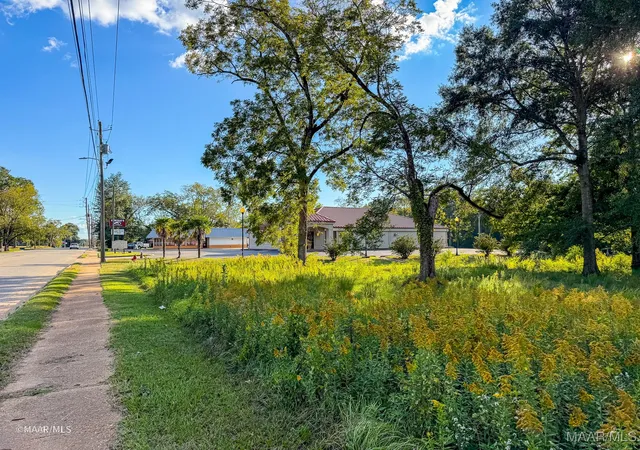 2nd image of 0 N Jackson St, Grove Hill, AL 36451 | MLS# 580949