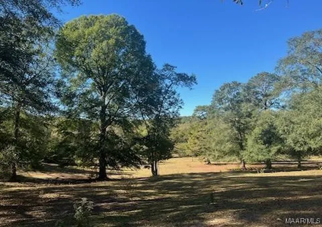 33rd image of 11405 Meriwether Trl, Grady, AL 36036 | MLS# 581332