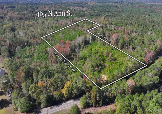 Homes for sale in Eclectic, AL | 465 N Ann St, Eclectic, AL 36024 | MLS# 581354