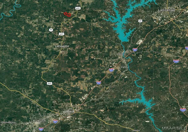 55th image of 407 County Road 437 Road, Five Points, AL 36862 | MLS# 581552