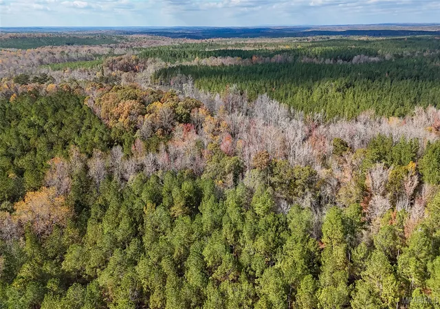 5th image of 407 County Road 437 Road, Five Points, AL 36862 | MLS# 581552