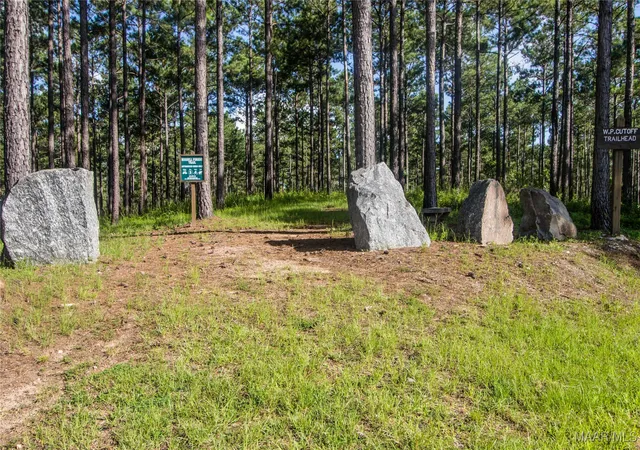 Homes for sale in Alexander City, AL | 1 Willow Ln, Alexander City, AL 35010 | MLS# 581762